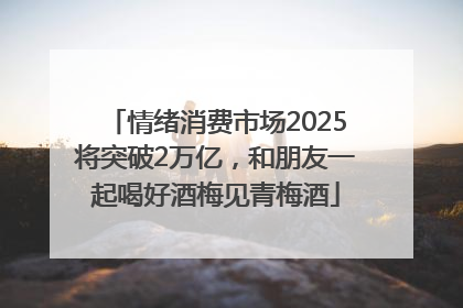 情绪消费市场2025将突破2万亿，和朋友一起喝好酒梅见青梅酒