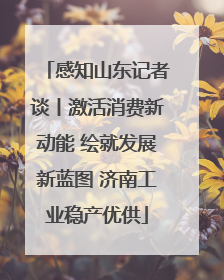 感知山东记者谈丨激活消费新动能 绘就发展新蓝图 济南工业稳产优供