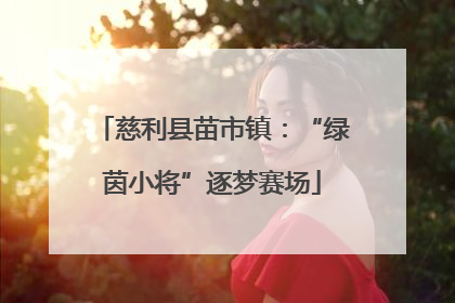 慈利县苗市镇：“绿茵小将”逐梦赛场