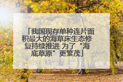 我国现存单种连片面积最大的海草床生态修复持续推进 为了“海底草原”更繁茂