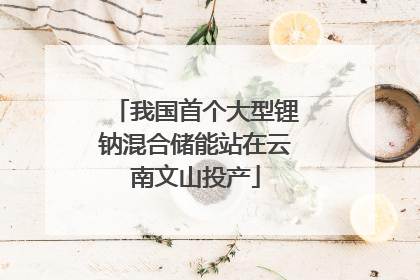 我国首个大型锂钠混合储能站在云南文山投产