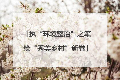 执“环境整治”之笔 绘“秀美乡村”新卷