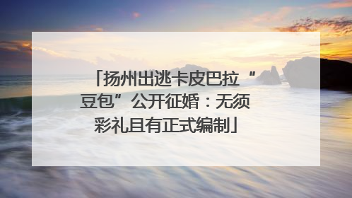 扬州出逃卡皮巴拉“豆包”公开征婚：无须彩礼且有正式编制