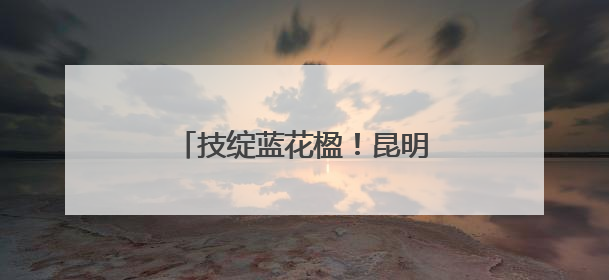 技绽蓝花楹！昆明技师学院为春城文旅添彩展职教风采