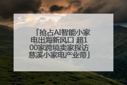 抢占AI智能小家电出海新风口 超100家跨境卖家探访慈溪小家电产业带