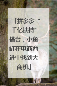 拼多多“千亿扶持”搭台，小鱼缸在电商西进中找到大商机