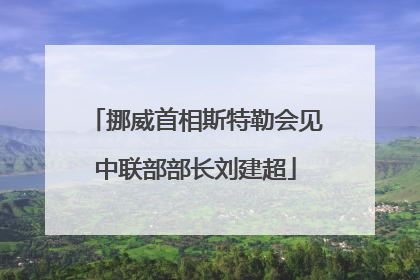 挪威首相斯特勒会见中联部部长刘建超