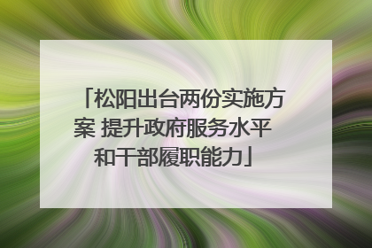 松阳出台两份实施方案 提升政府服务水平和干部履职能力