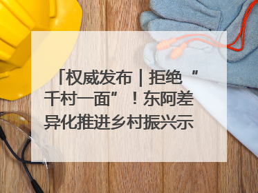 权威发布｜拒绝“千村一面”！东阿差异化推进乡村振兴示范片区建设