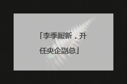 李季履新，升任央企副总