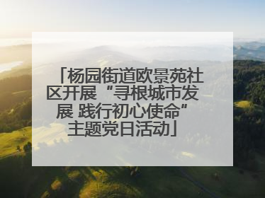 杨园街道欧景苑社区开展“寻根城市发展 践行初心使命”主题党日活动