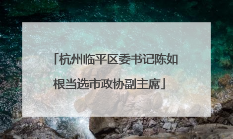 杭州临平区委书记陈如根当选市政协副主席