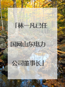 林一凡已任国网山东电力公司董事长