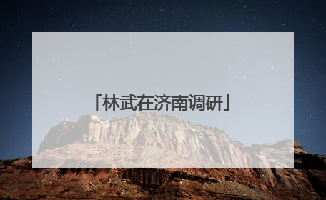 林武在济南调研