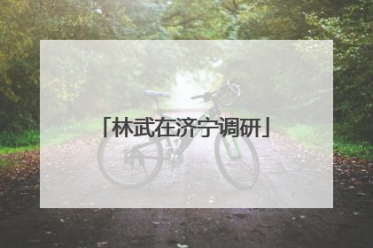 林武在济宁调研
