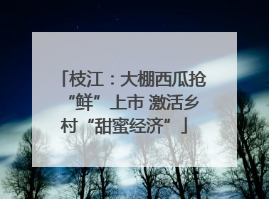 枝江：大棚西瓜抢“鲜”上市 激活乡村“甜蜜经济”