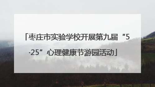 枣庄市实验学校开展第九届“5·25”心理健康节游园活动