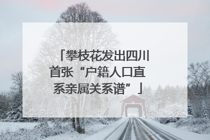 攀枝花发出四川首张“户籍人口直系亲属关系谱”