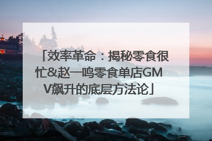 效率革命：揭秘零食很忙&赵一鸣零食单店GMV飙升的底层方法论
