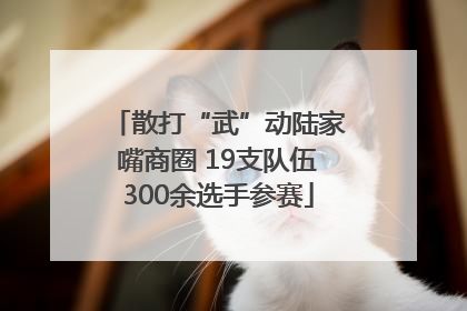散打“武”动陆家嘴商圈 19支队伍300余选手参赛