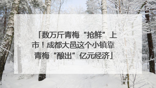 数万斤青梅“抢鲜”上市！成都大邑这个小镇靠青梅“酿出”亿元经济