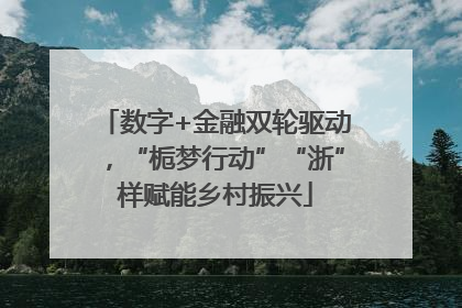 数字+金融双轮驱动，“栀梦行动”“浙”样赋能乡村振兴