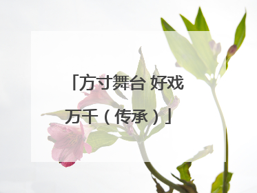 方寸舞台 好戏万千（传承）