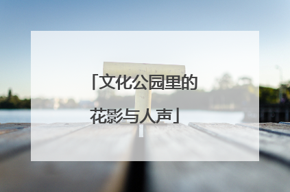 文化公园里的花影与人声