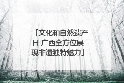 文化和自然遗产日 广西全方位展现非遗独特魅力