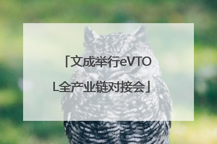 文成举行eVTOL全产业链对接会