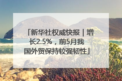 新华社权威快报｜增长2.5%，前5月我国外贸保持较强韧性