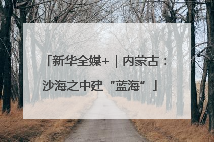 新华全媒+｜内蒙古：沙海之中建“蓝海”