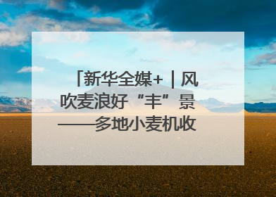 新华全媒+｜风吹麦浪好“丰”景——多地小麦机收一线见闻