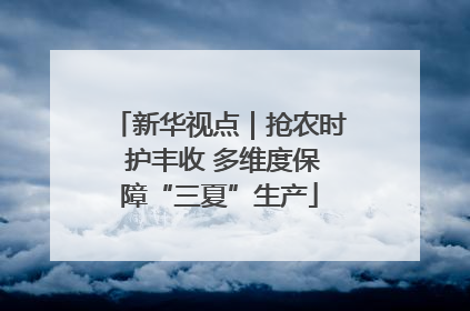 新华视点｜抢农时 护丰收 多维度保障“三夏”生产