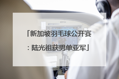 新加坡羽毛球公开赛：陆光祖获男单亚军