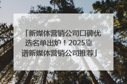 新媒体营销公司口碑优选名单出炉！2025靠谱新媒体营销公司推荐