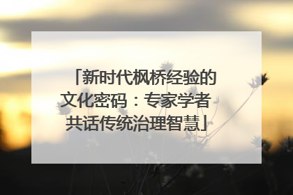 新时代枫桥经验的文化密码：专家学者共话传统治理智慧