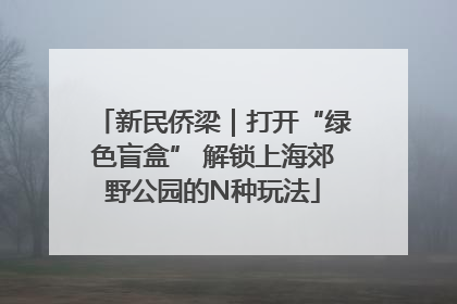 新民侨梁｜打开“绿色盲盒” 解锁上海郊野公园的N种玩法