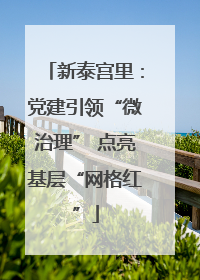 新泰宫里：党建引领“微治理” 点亮基层“网格红”