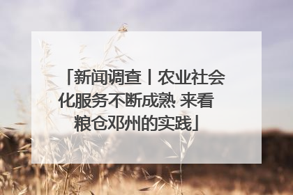 新闻调查丨农业社会化服务不断成熟 来看粮仓邓州的实践