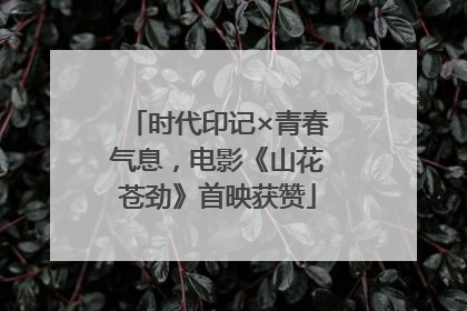 时代印记×青春气息，电影《山花苍劲》首映获赞
