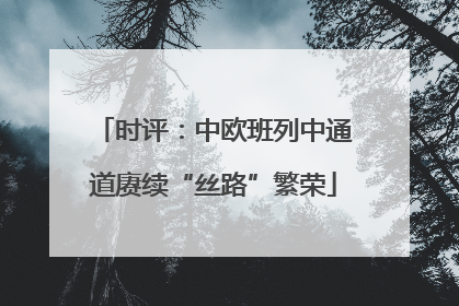 时评：中欧班列中通道赓续“丝路”繁荣
