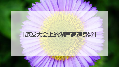 旅发大会上的湖南高速身影