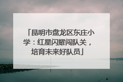 昆明市盘龙区东庄小学：红星闪耀闯队关，培育未来好队员