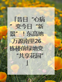 昔日“心病”变今日“新景”！东高地万源南里26栋楼前绿地变“共享花园”