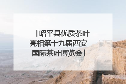 昭平县优质茶叶亮相第十九届西安国际茶叶博览会