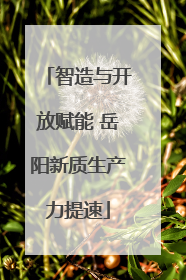 智造与开放赋能 岳阳新质生产力提速