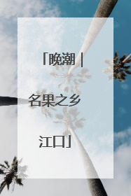 晚潮｜名果之乡江口