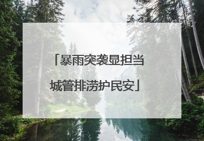 暴雨突袭显担当 城管排涝护民安