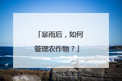 暴雨后，如何管理农作物？